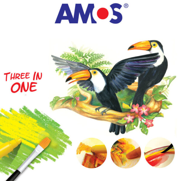 AMOS Premium 3-in-1 Crayons Non-Toxic Korean (Set of 12) (Premium 3-in-1 Crayons)